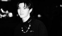 陈哲远娱乐圈爆料视频大全,揭秘明星幕后故事