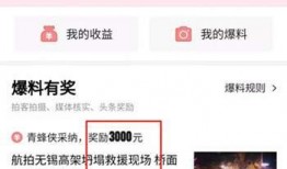 哪个新闻爆料有奖励,揭秘新闻线索背后的丰厚回报