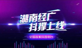 广西民间媒体爆料视频播放,神秘视频引发热议，揭秘背后真相