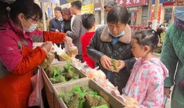 娱乐吃瓜场地图片高清,一场视觉盛宴的幕后揭秘