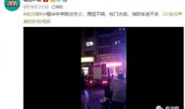 火爆视频爆料,热门事件背后惊人真相！