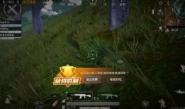 刺激战场最新爆料语音包,战场氛围再升级，语音互动更刺激