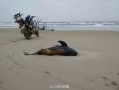 汕尾市东海县新闻爆料网,聚焦民生热点，传递社会声音
