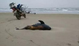 汕尾市东海县新闻爆料网,聚焦民生热点，传递社会声音