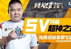 白鲨最新爆料新闻网视频,揭秘新闻网背后惊人内幕