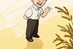 网红打假吃瓜是谁发明的,揭秘流行现象背后的创新发明