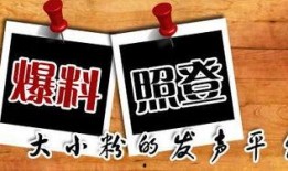 最新重庆爆料事件新闻,揭秘背后真相与影响