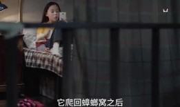 小黄和姐姐互相爆料视频