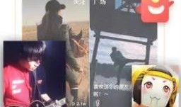 免费吃瓜入口小程序app,揭秘热门资讯一键获取的便捷新平台