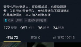 抖音爆料视频在哪发的,揭秘视频发布之谜，揭秘热门视频背后的故事