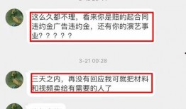 娱记爆料视频模板最新版,最新爆料视频幕后故事大起底！