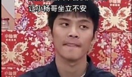 辛巴爆料三只羊最新视频,三只羊最新视频背后的惊人真相