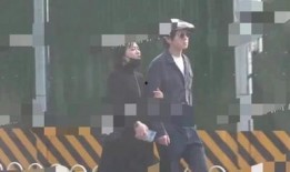 陈丹青爆料娱乐圈,真实与虚假的较量