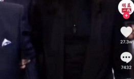 李嘉欣被爆料了吗视频播放,李嘉欣被爆料视频播放引发热议