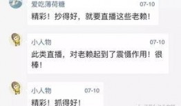 直播爆料老赖视频在线观看,老赖视频在线观看，揭开债务逃逸者真面目