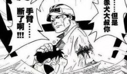 赤犬爆料路飞身世视频在线观看,赤犬爆料视频在线观看全解析