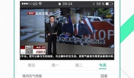 实名爆料视频大全下载免费,免费下载背后的真相与攻略