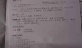 某火锅店爆料事件视频大全,揭秘行业背后真相