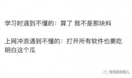 吃瓜吵架知乎小说免费阅读,吃瓜吵架的知乎小说免费阅读之旅