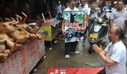 温州宠物店爆料事件最新,揭露行业黑幕，宠物权益亟待关注