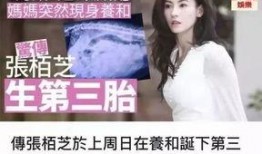 娱乐圈吃瓜实锤是谁的小说,吃瓜实锤背后的真相揭秘