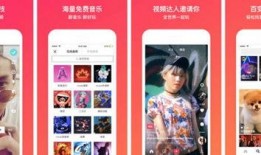 枫丹音乐爆料最新消息今天,今日热点事件深度解析