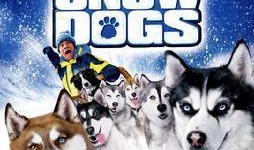 冰狗任务在线观看免费,免费在线观看，揭秘极地冒险之旅