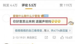 粉丝爆料动画视频大全集,动画视频大全集幕后故事与精彩瞬间