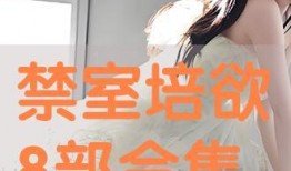 禁室培欲3香港情夜在线观看,香港情夜，激情燃烧的岁月