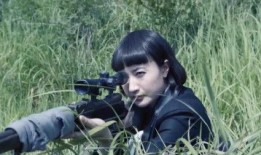 在线观看枪口全集,揭秘战火纷飞年代的生死较量