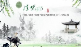 清明技能爆料攻略视频,揭秘全新玩法与战术策略