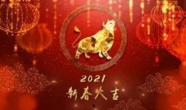 粉丝爆料动画视频大全集,动画视频大全集幕后故事与精彩瞬间