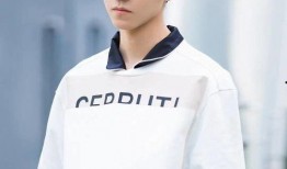 王俊凯漫画爆料视频下载,独家下载与精彩瞬间回顾