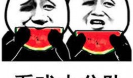 吃瓜娱乐圈动画视频