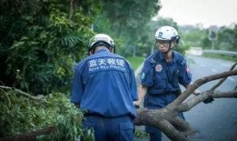 蓝天救援队爆料视频播放,视频播放背后的感人瞬间