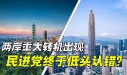 最新重庆爆料事件新闻,揭秘背后真相与影响