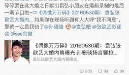 明星爆料袁弘视频,明星爆料背后的故事