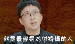 老秦娱乐圈爆料,揭秘明星幕后故事