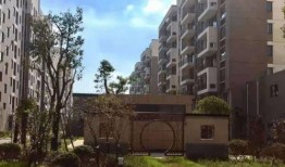 长春电梯房爆料事件最新,惊曝安全隐患，业主生活陷入困境