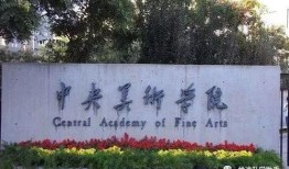 中央美院爆料视频最新版,揭秘艺术教育界的风云变幻