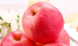 免费吃瓜苹果,揭秘苹果界的神秘福利