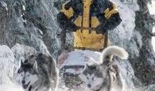 冰狗任务在线观看免费,免费在线观看，揭秘极地冒险之旅