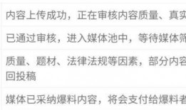 新闻爆料审核流程,确保真实性与公正性的严谨步骤解析