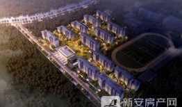 合肥蜀山区爆料案件最新,案情细节及进展全解析