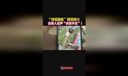 最新爆料蹦极视频播放,揭秘最新蹦极视频背后的惊险瞬间