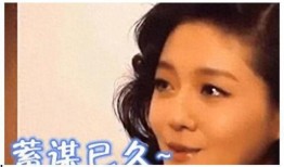 馨甜娱乐爆料事件真相,揭秘背后真相与内幕
