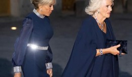 英媒爆料卡米拉事件视频,王室风波再起