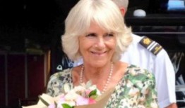 英媒爆料卡米拉事件视频,王室风波再起