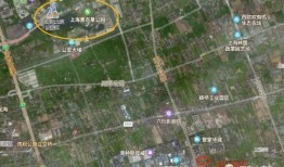 爆料红牛价格走势分析最新,洞察市场动态与消费趋势