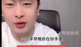 辛巴爆料三只羊最新视频,三只羊最新视频背后的惊人真相